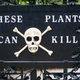 Illustration for article titled When spring comes round again, let's all go to the Poison Garden